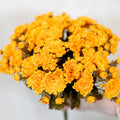 Gold Yellow Mum Bush Stem Branches Designs