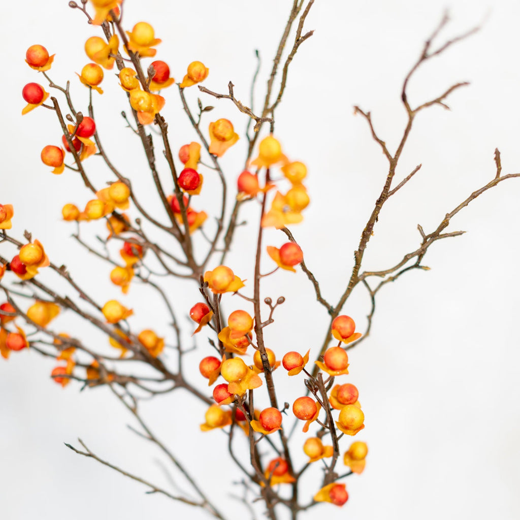 Bittersweet and Twig Spray Branches Designs