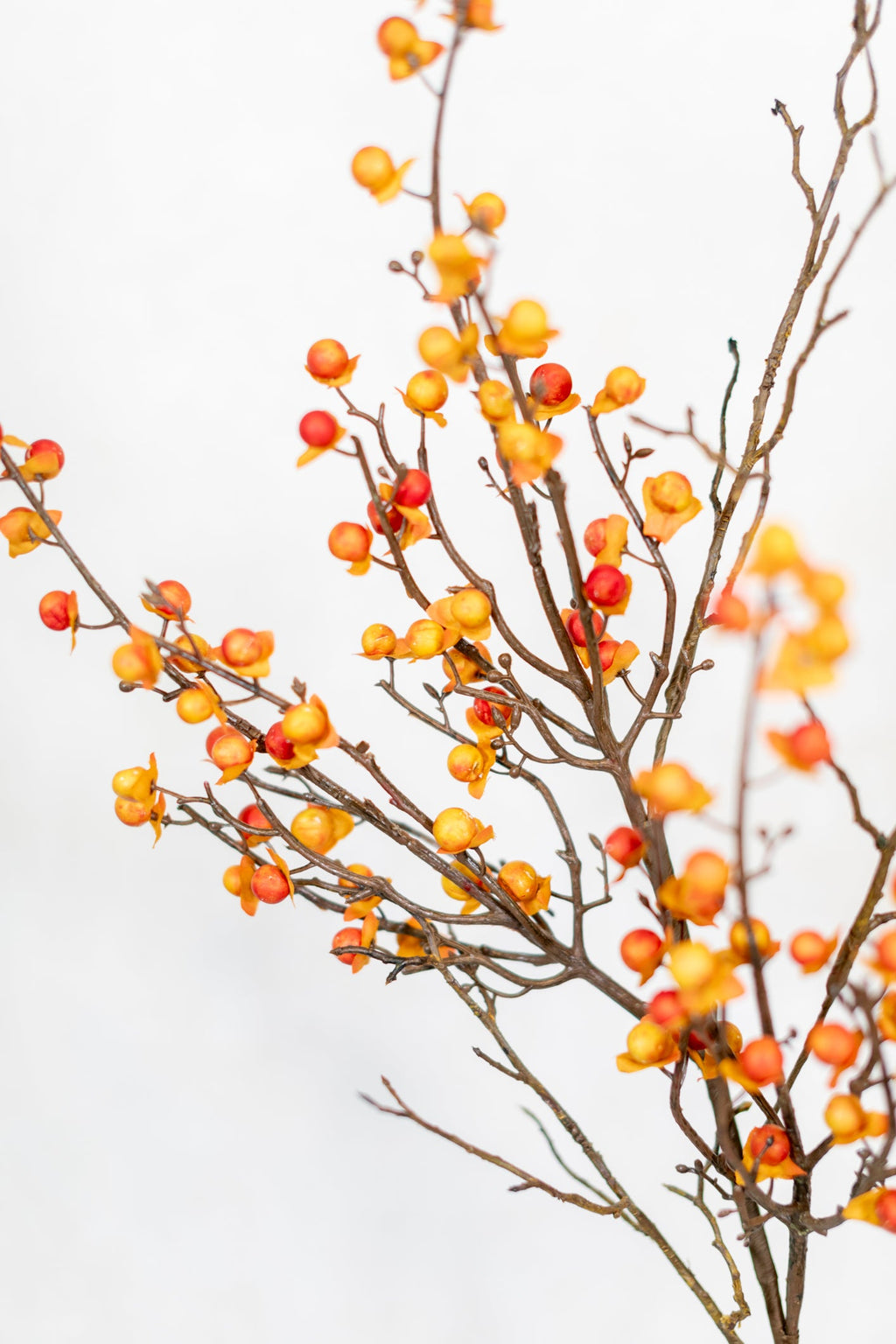 Bittersweet and Twig Spray Branches Designs