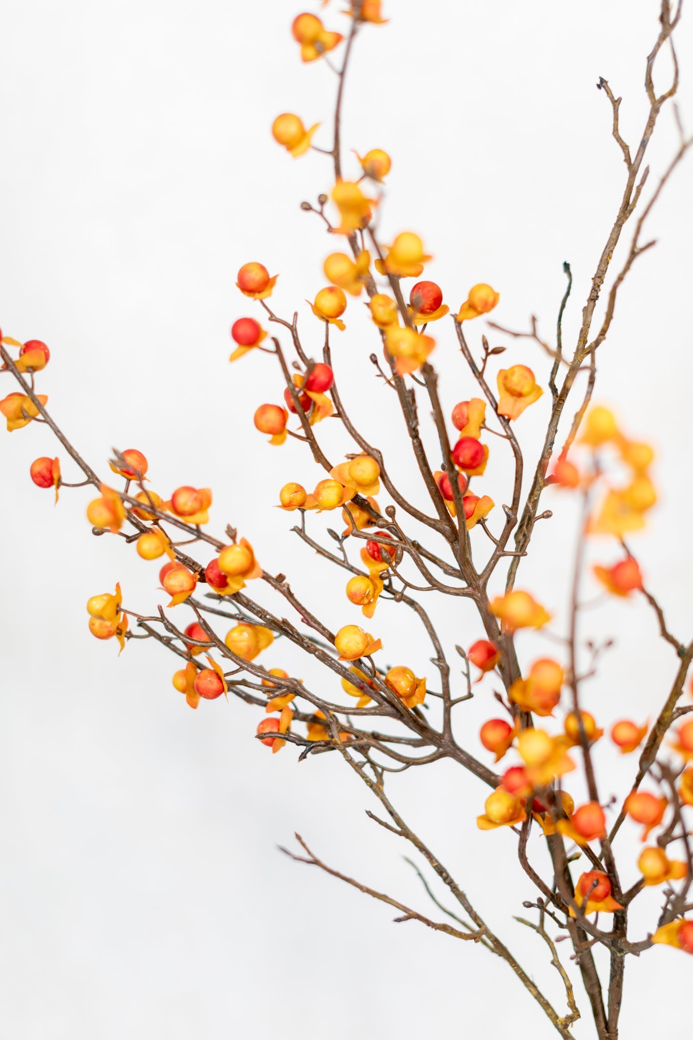 Bittersweet and Twig Spray Branches Designs