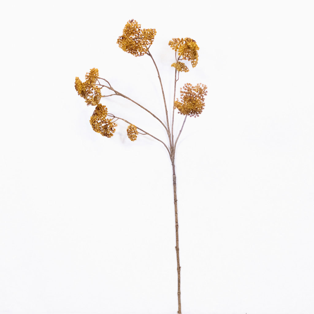 Achillea Spray Mustard Branches Designs