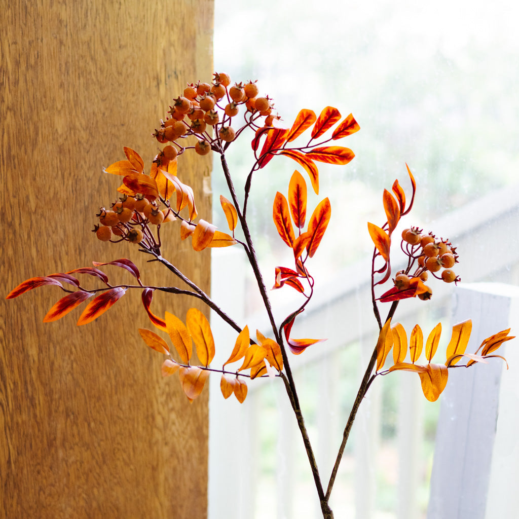 Orange Berry Spray Branches Designs