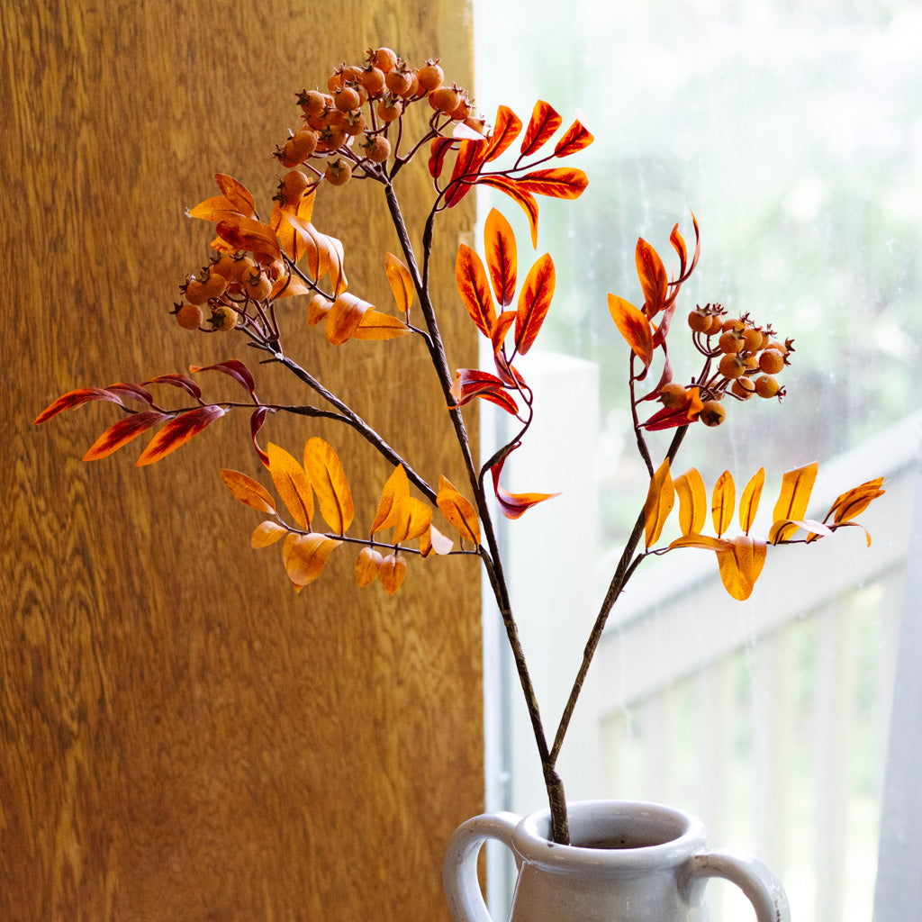 Orange Berry Spray Branches Designs