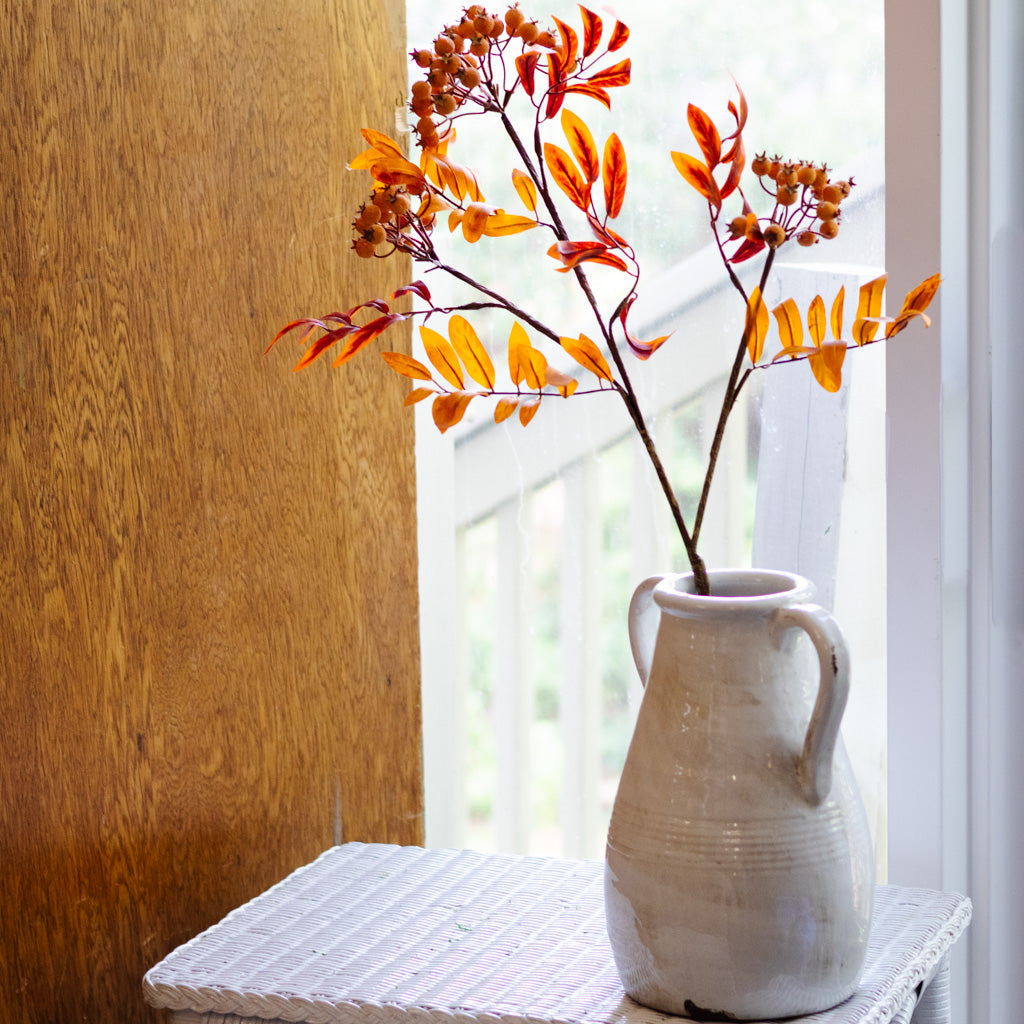Orange Berry Spray Branches Designs
