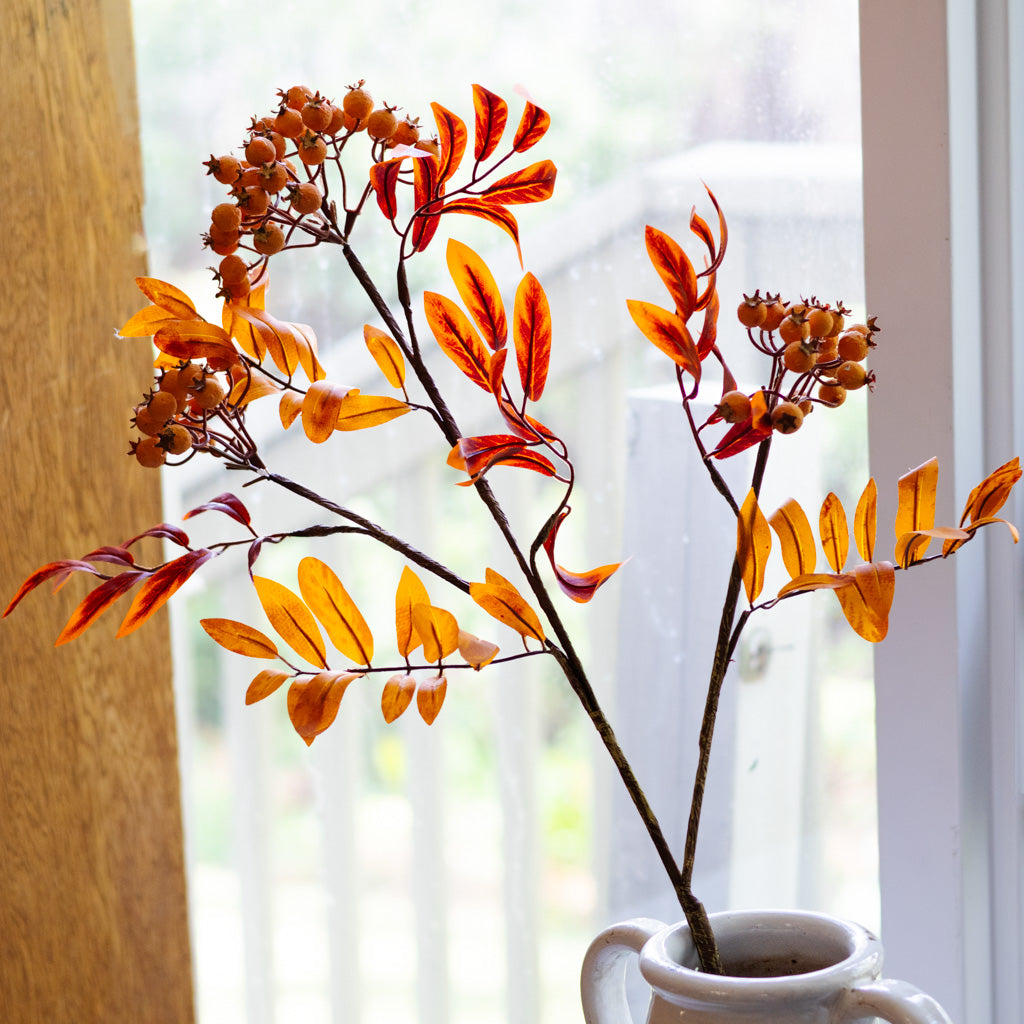 Orange Berry Spray Branches Designs