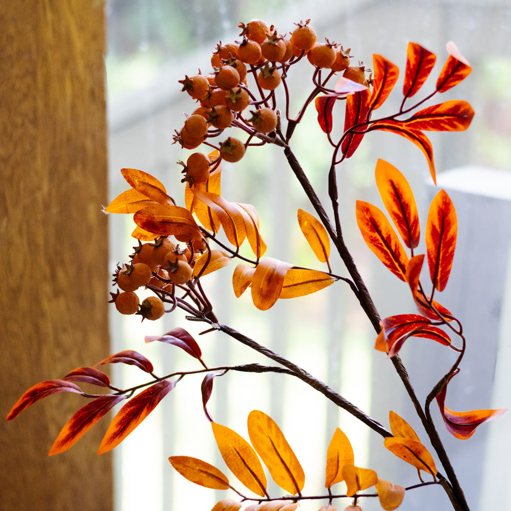 Orange Berry Spray Branches Designs