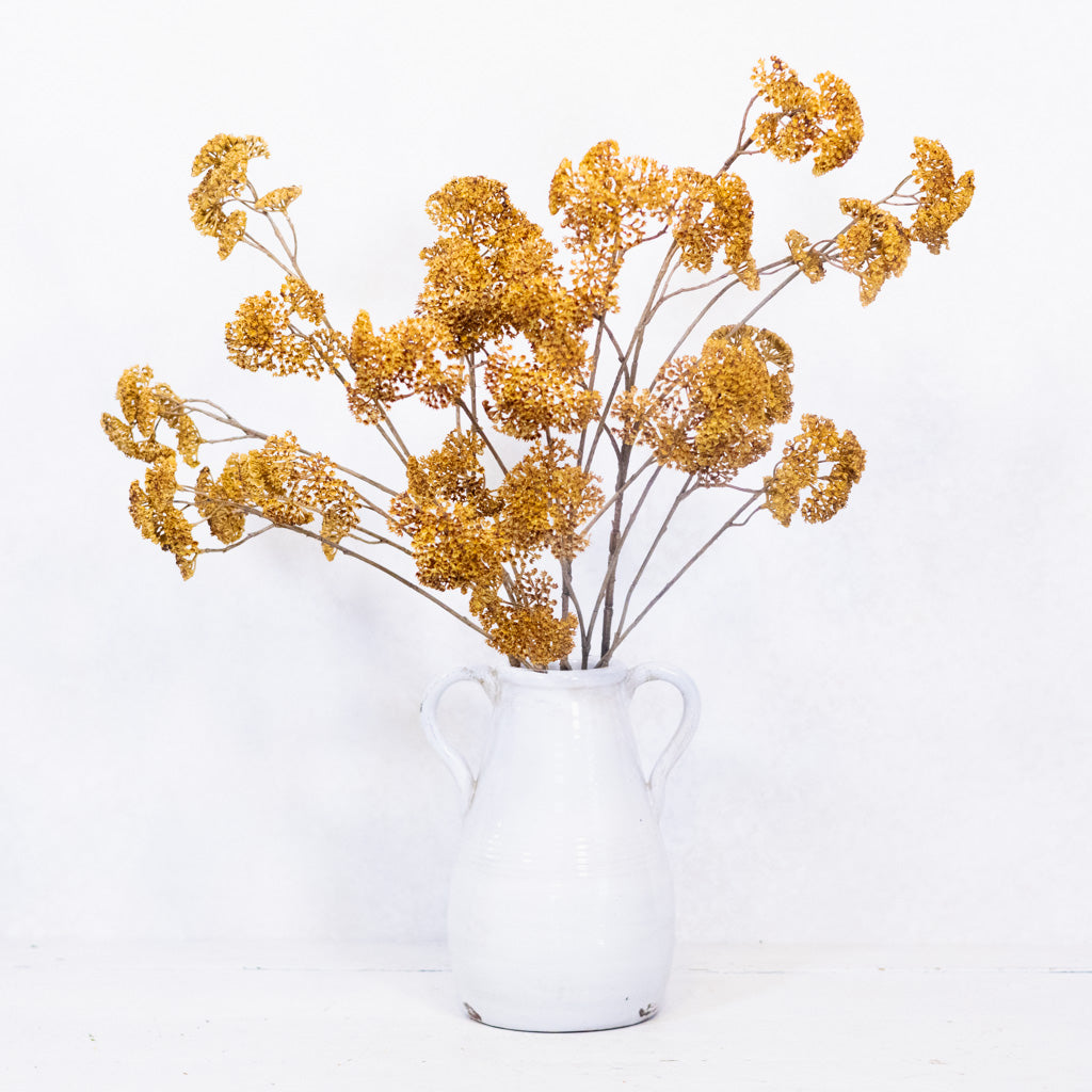Achillea Spray Mustard Branches Designs