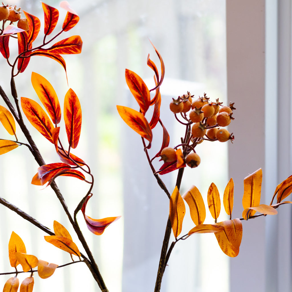 Orange Berry Spray Branches Designs