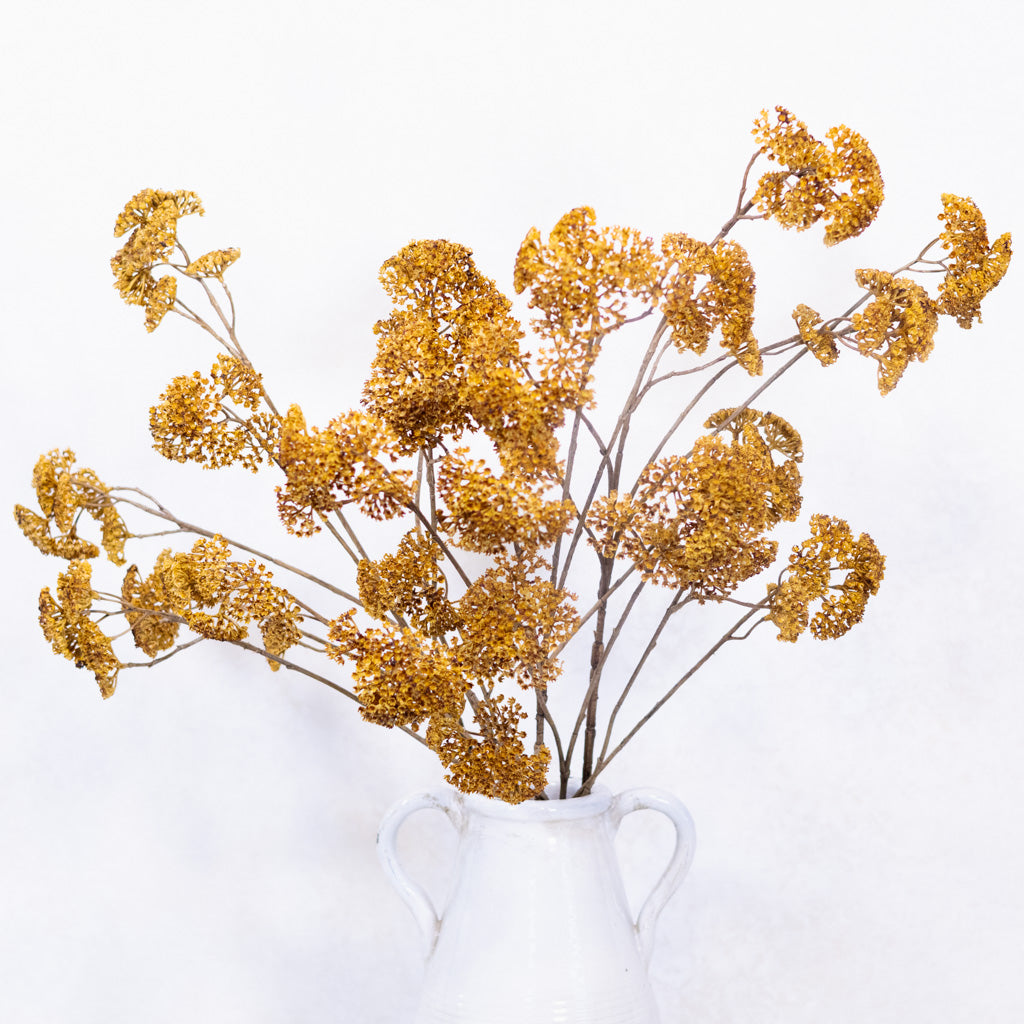 Achillea Spray Mustard Branches Designs