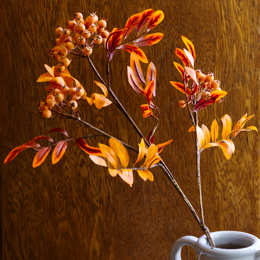 Orange Berry Spray Branches Designs