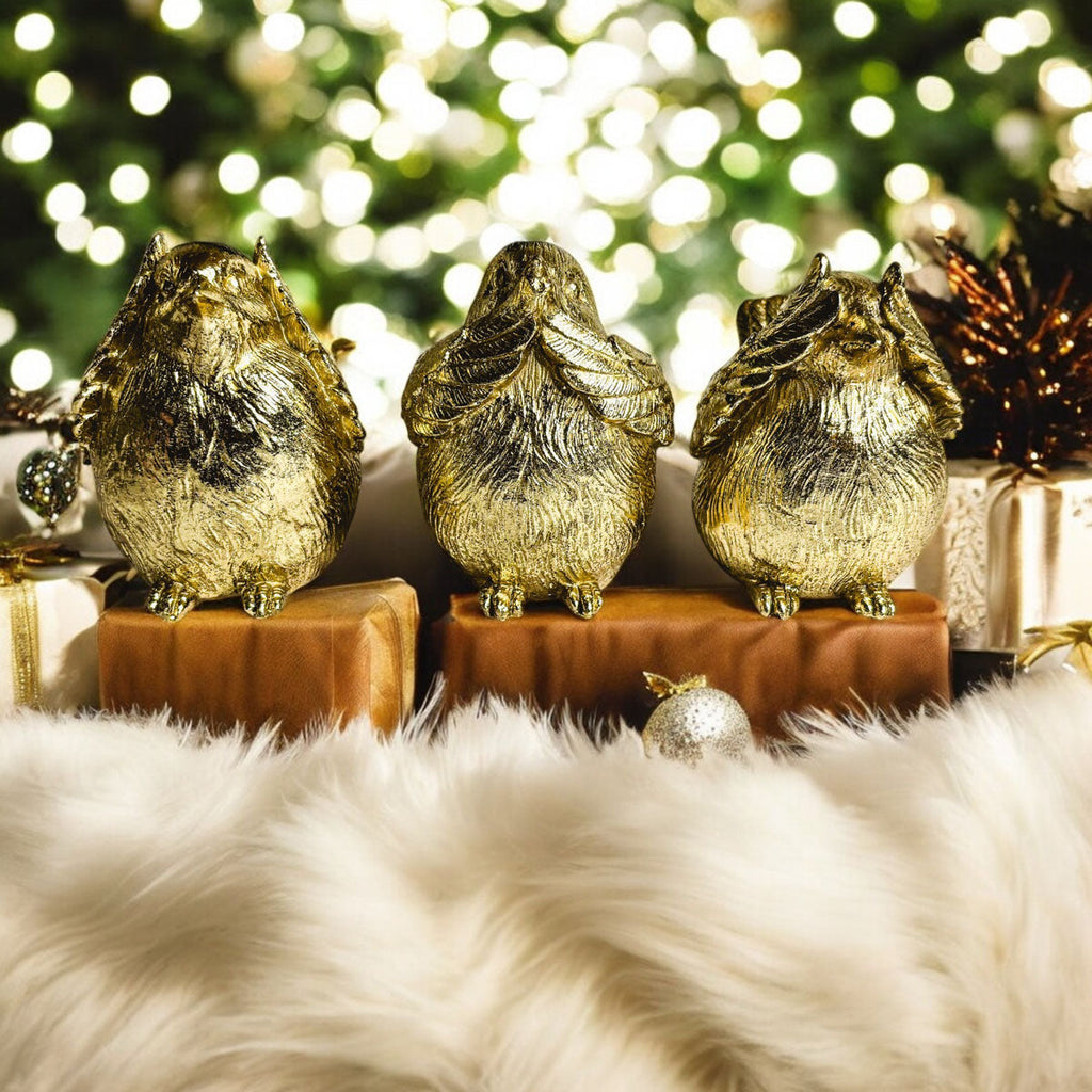 3 Wise Birds Gia Roma