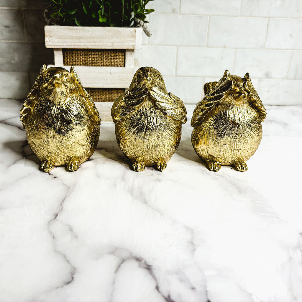 3 Wise Birds Gia Roma
