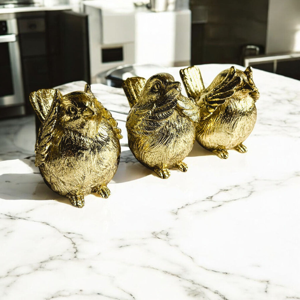 3 Wise Birds Gia Roma