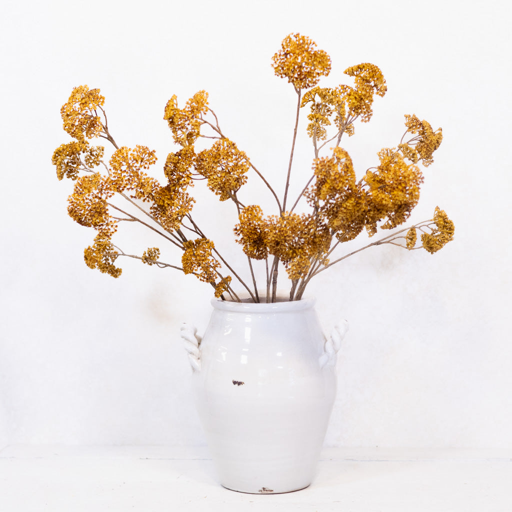 Achillea Spray Mustard Branches Designs
