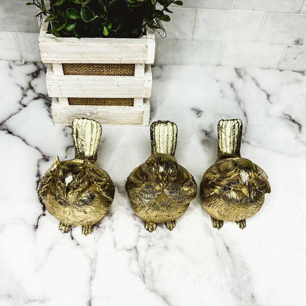 3 Wise Birds Gia Roma