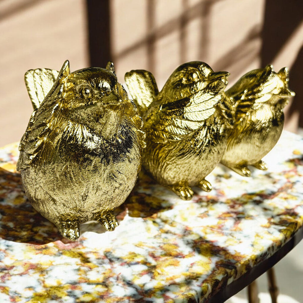 3 Wise Birds Gia Roma