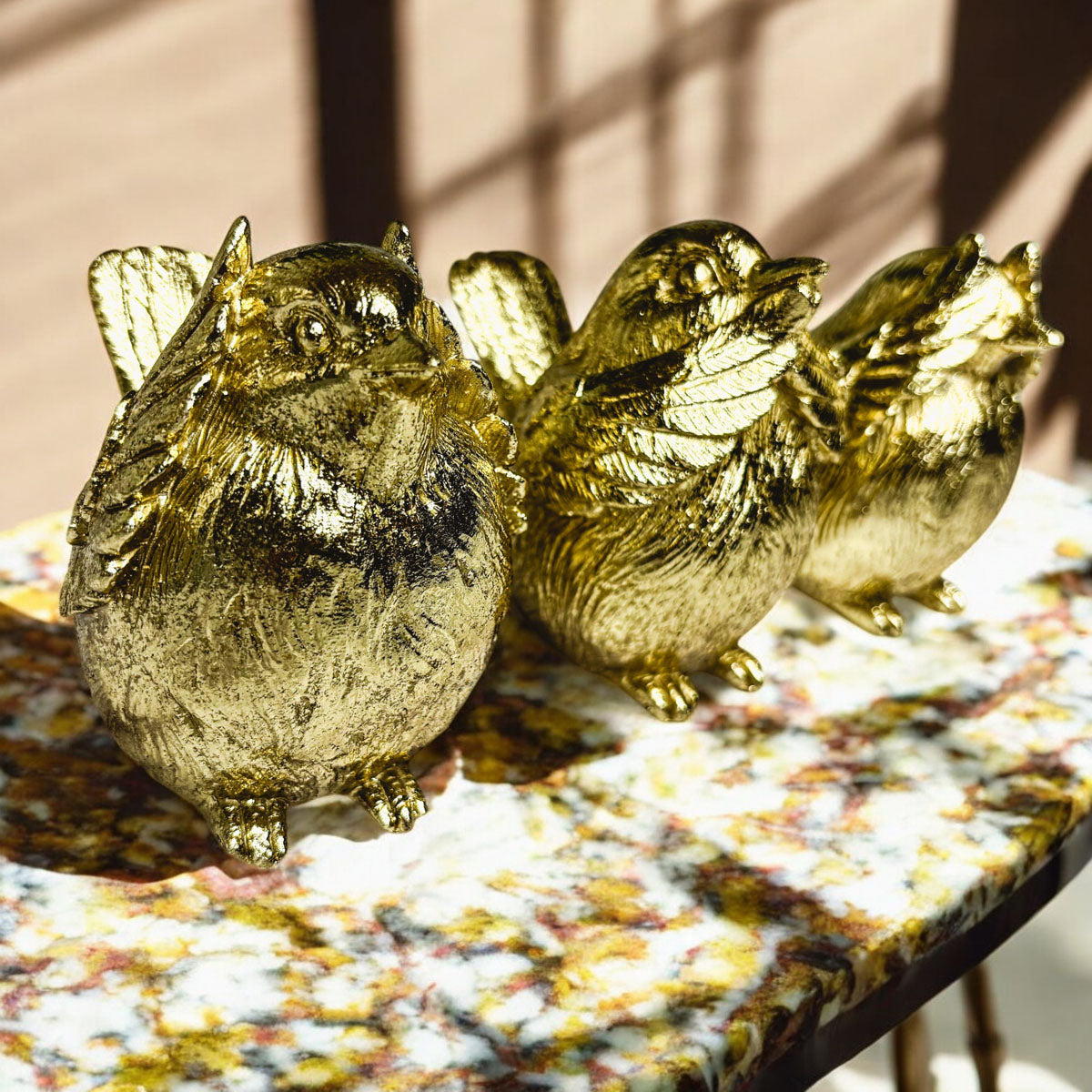 3 Wise Birds Gia Roma