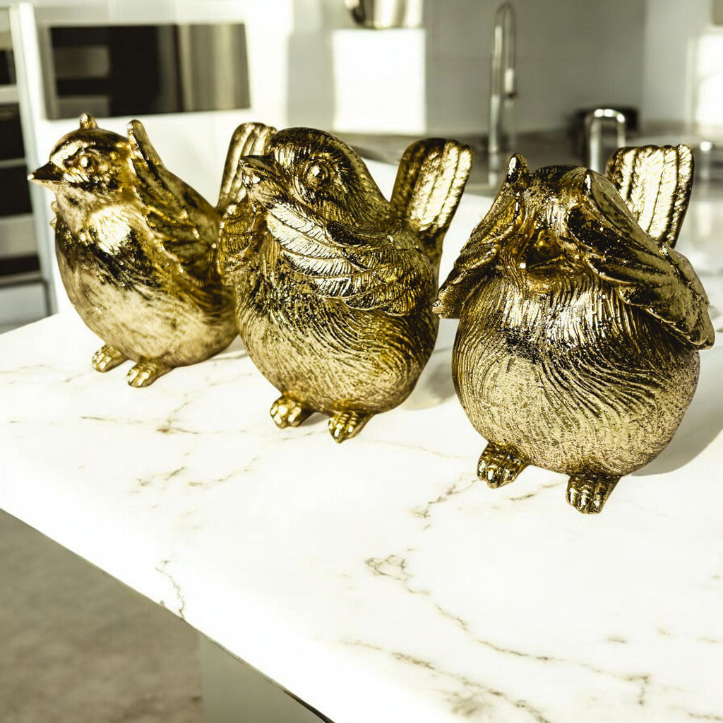 3 Wise Birds Gia Roma