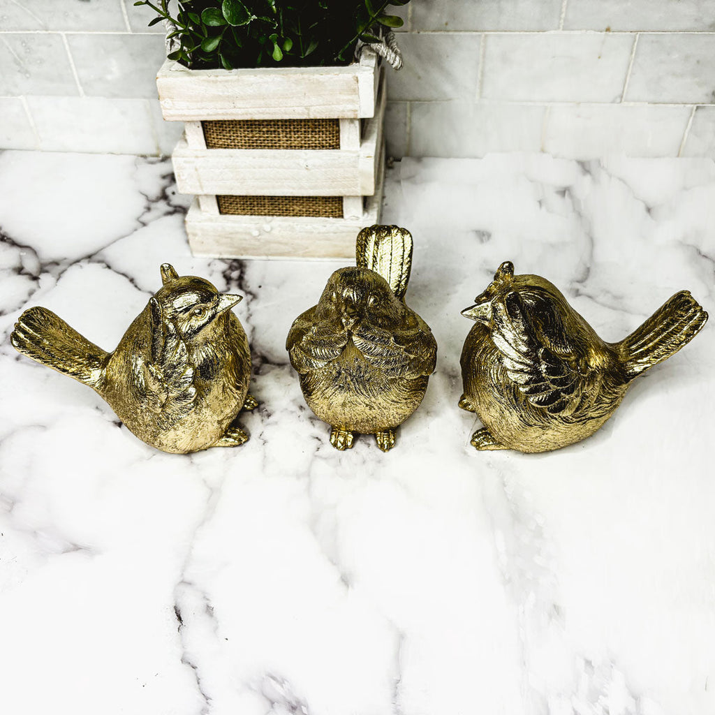 3 Wise Birds Gia Roma
