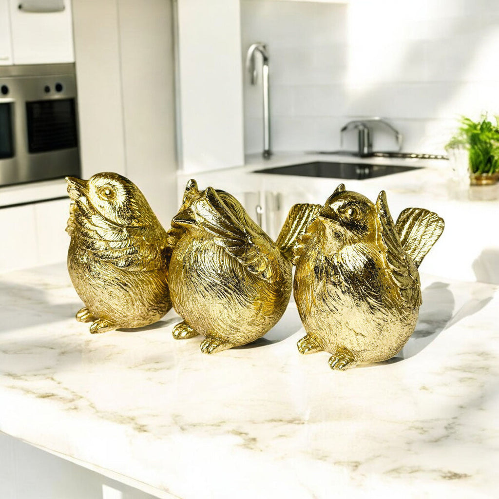 3 Wise Birds Gia Roma