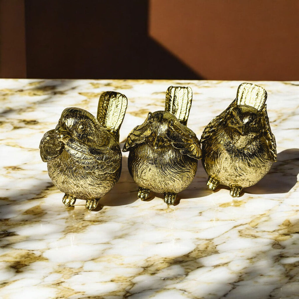 3 Wise Birds Gia Roma