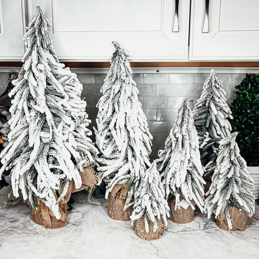Snow Covered Trees OG Gia Roma