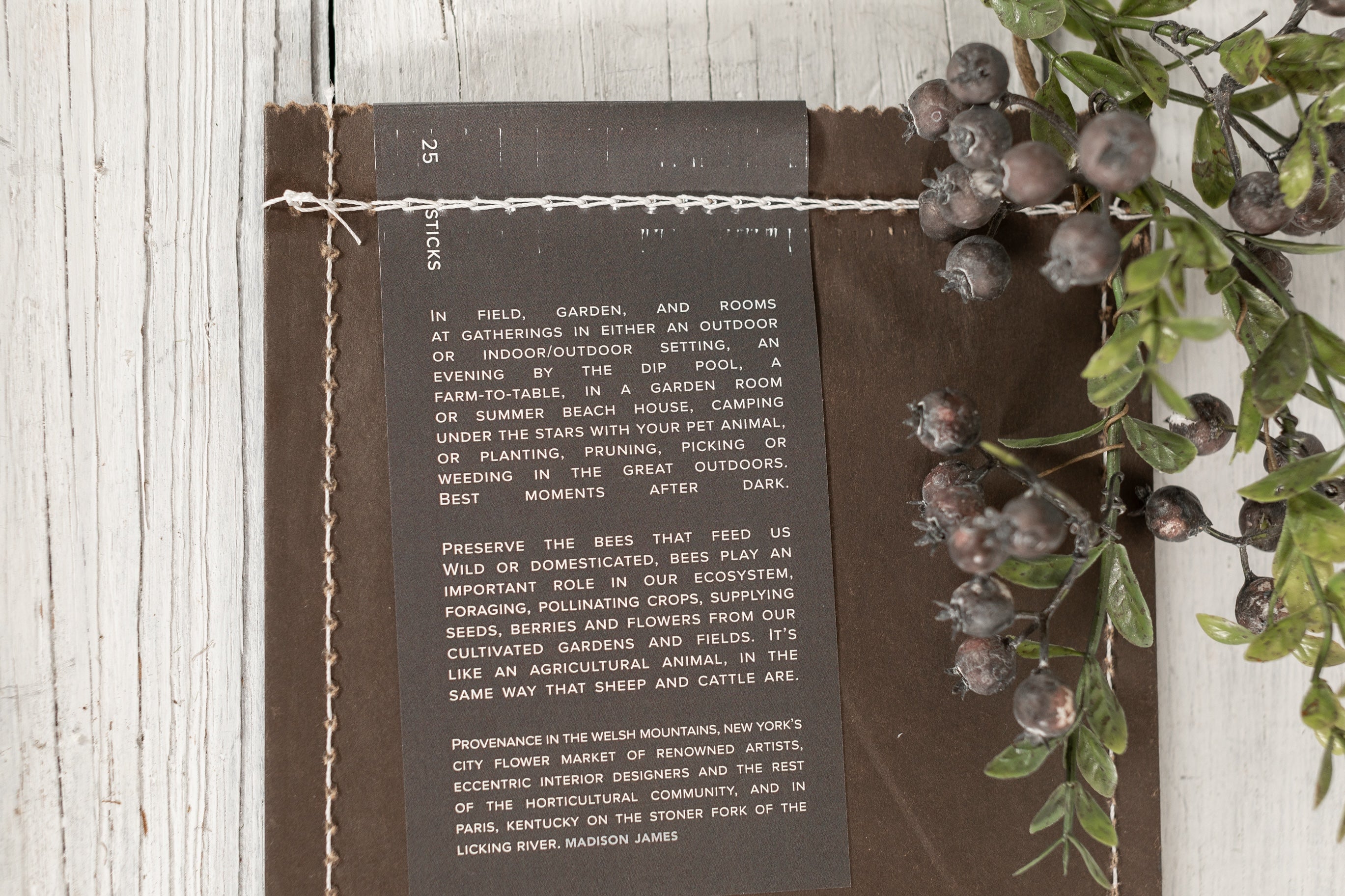Flyaway Sticks Pack of Twenty- Five Branches Designs