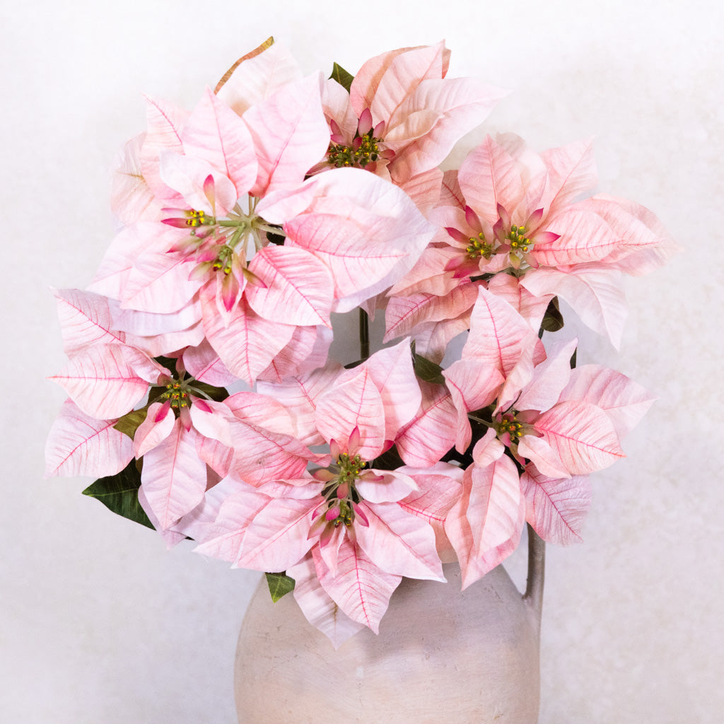 Pink Poinsettia Bush Weather Resistant Branches Designs