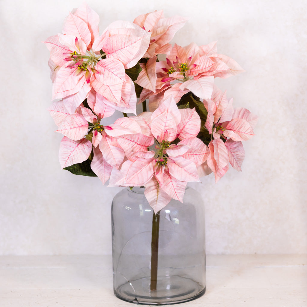 Pink Poinsettia Bush Weather Resistant Branches Designs