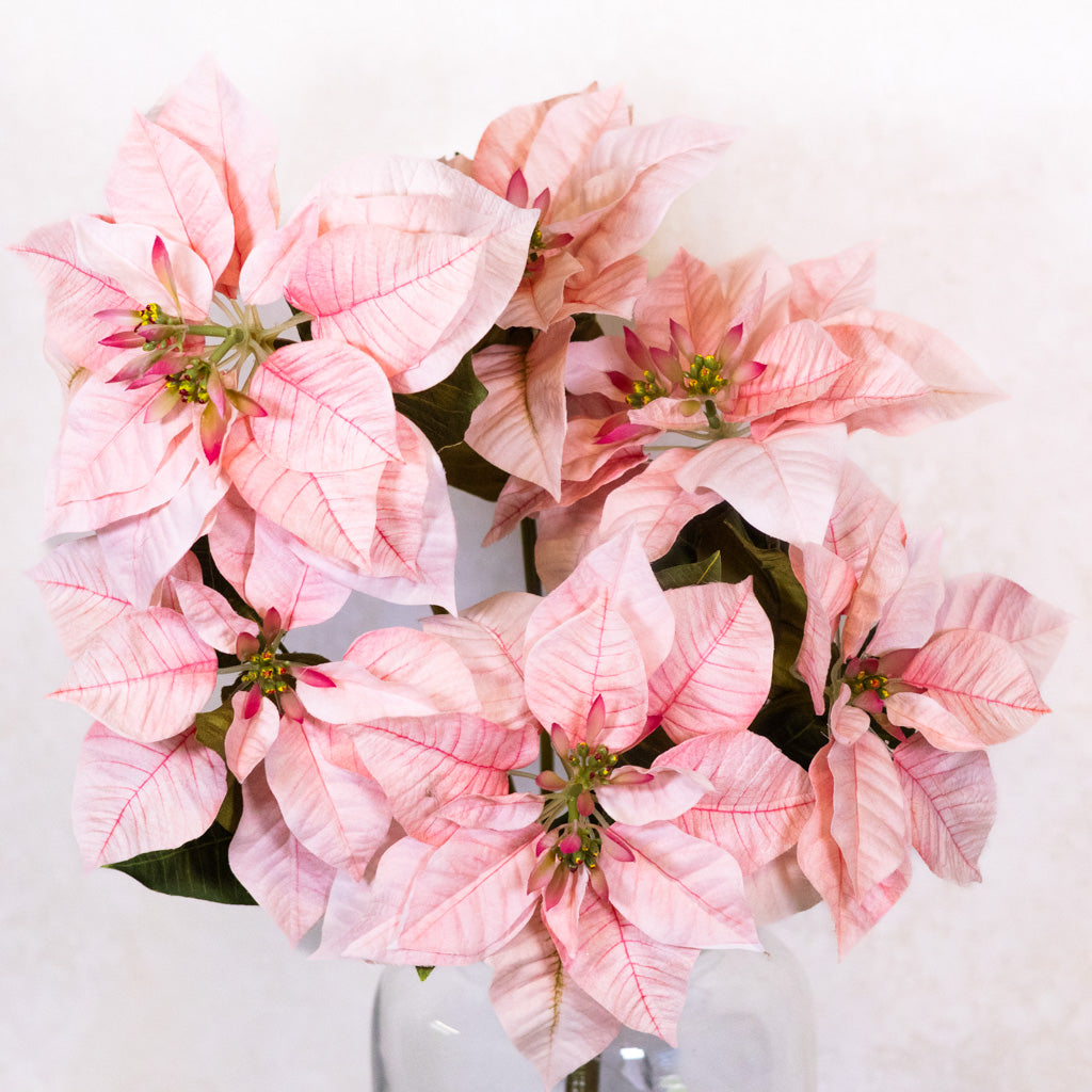 Pink Poinsettia Bush Weather Resistant Branches Designs