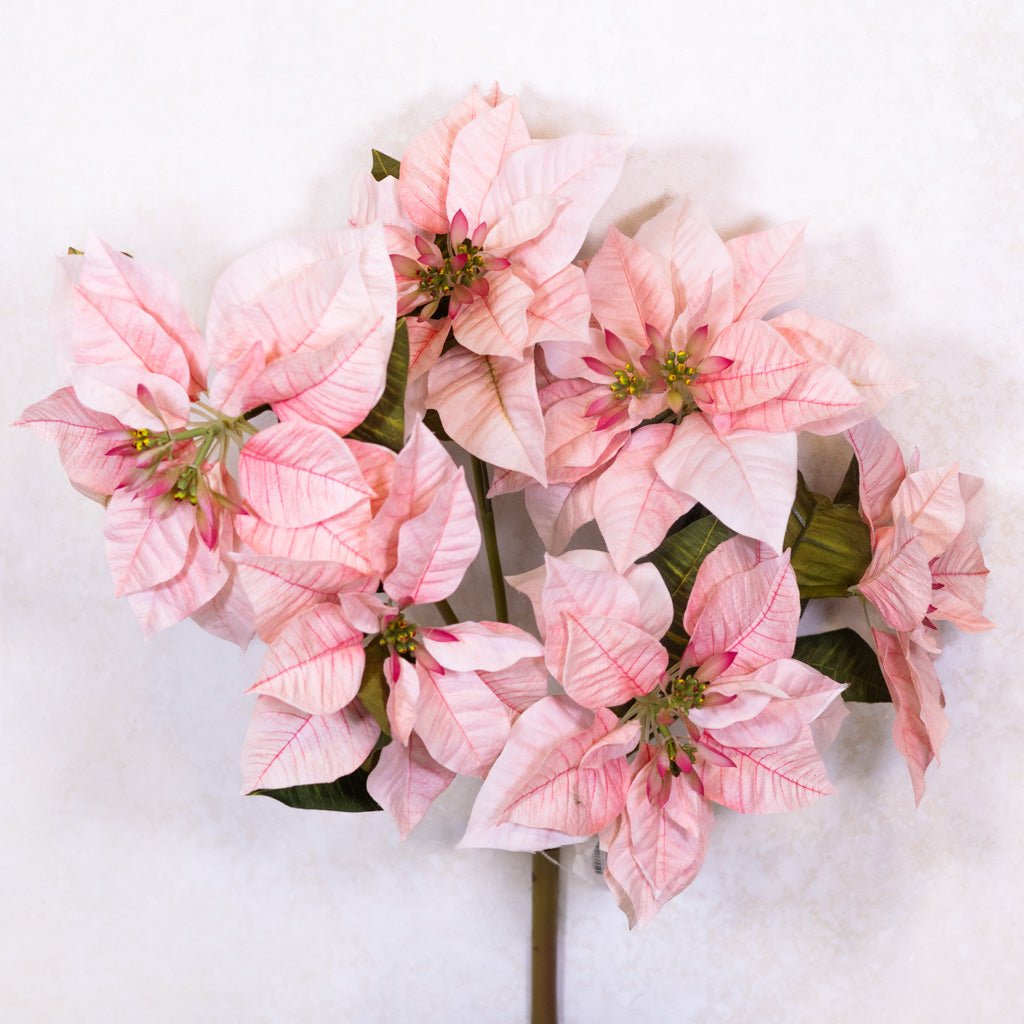 Pink Poinsettia Bush Weather Resistant Branches Designs