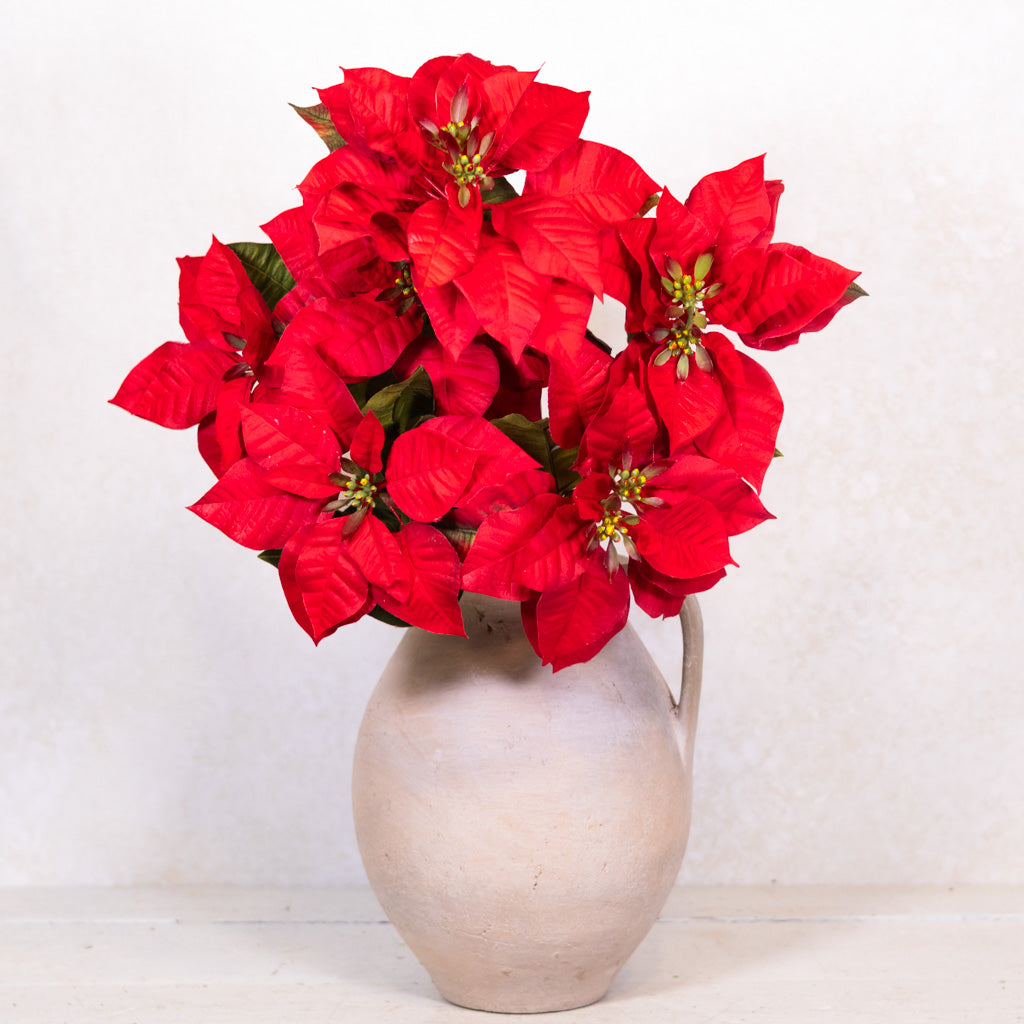 Red Poinsettia Bush Branches Designs