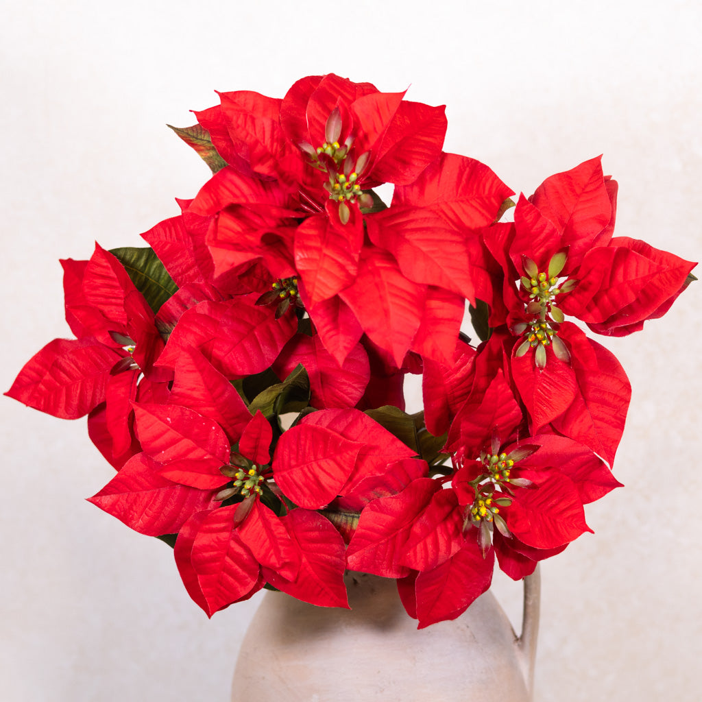 Red Poinsettia Bush Branches Designs