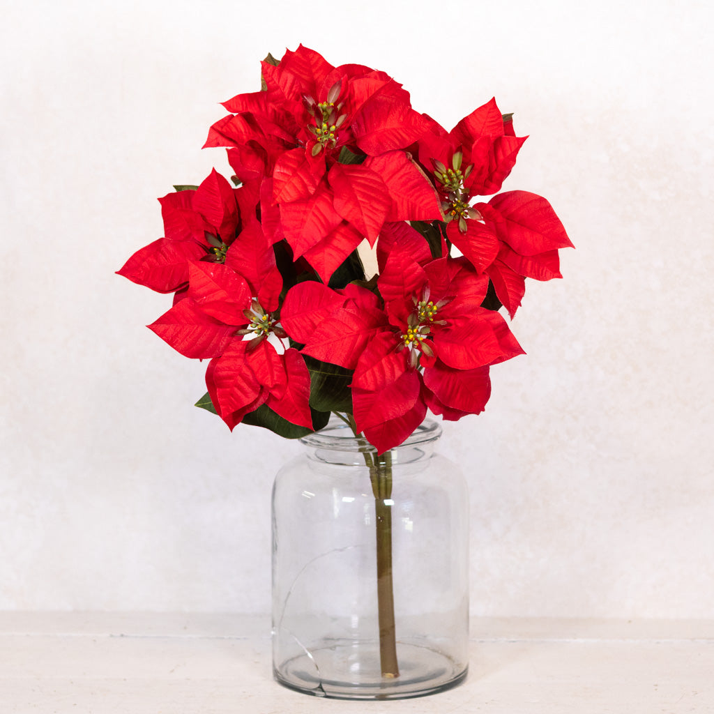 Red Poinsettia Bush Branches Designs