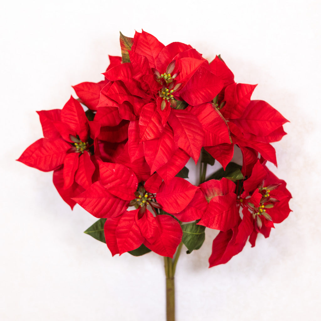 Red Poinsettia Bush Branches Designs