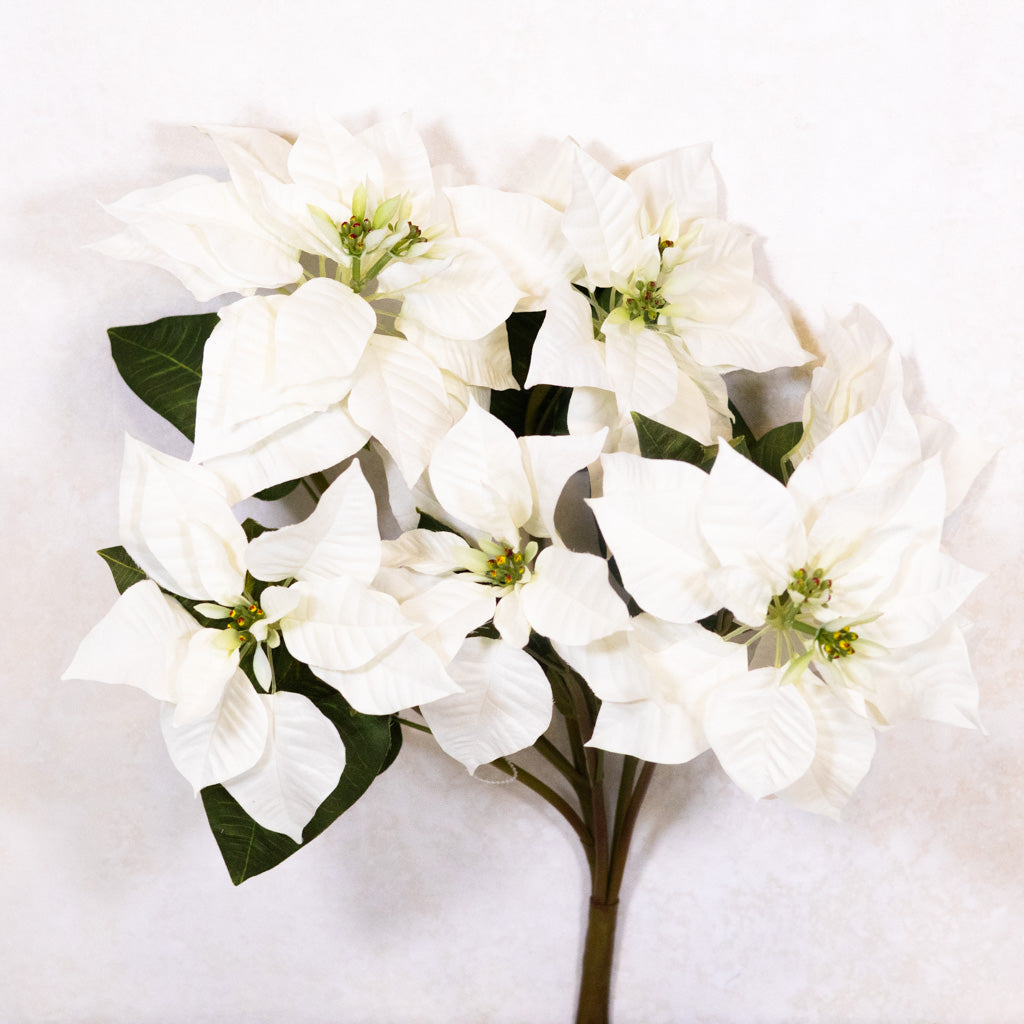 White Poinsettia Bush Weather Resistant Branches Designs