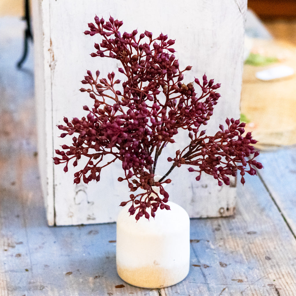 Rust Seed Bush Branches Designs