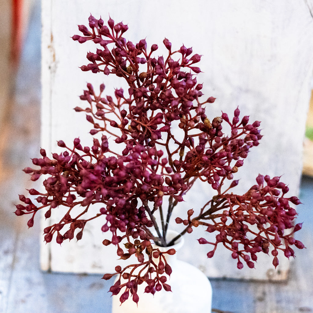 Rust Seed Bush Branches Designs