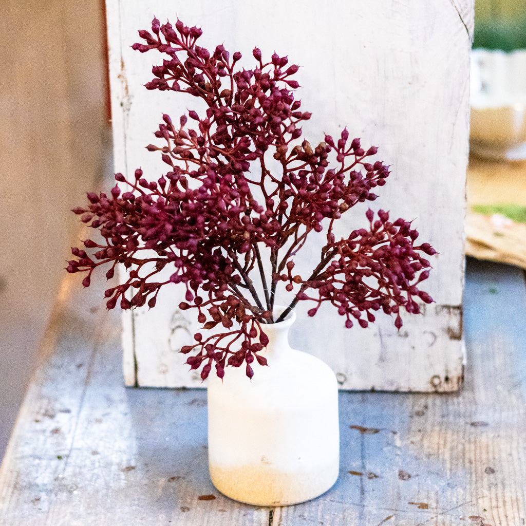 Rust Seed Bush Branches Designs