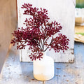 Rust Seed Bush Branches Designs