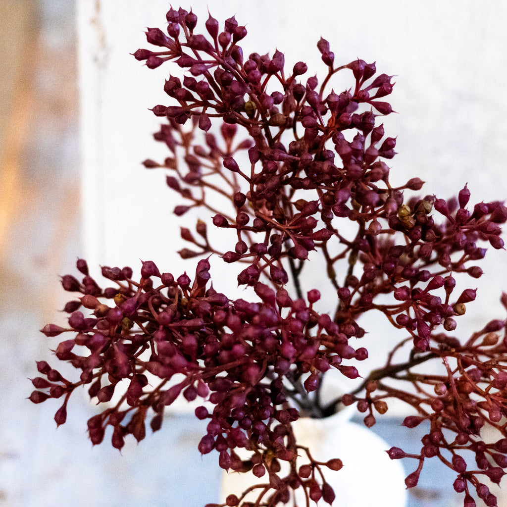 Rust Seed Bush Branches Designs