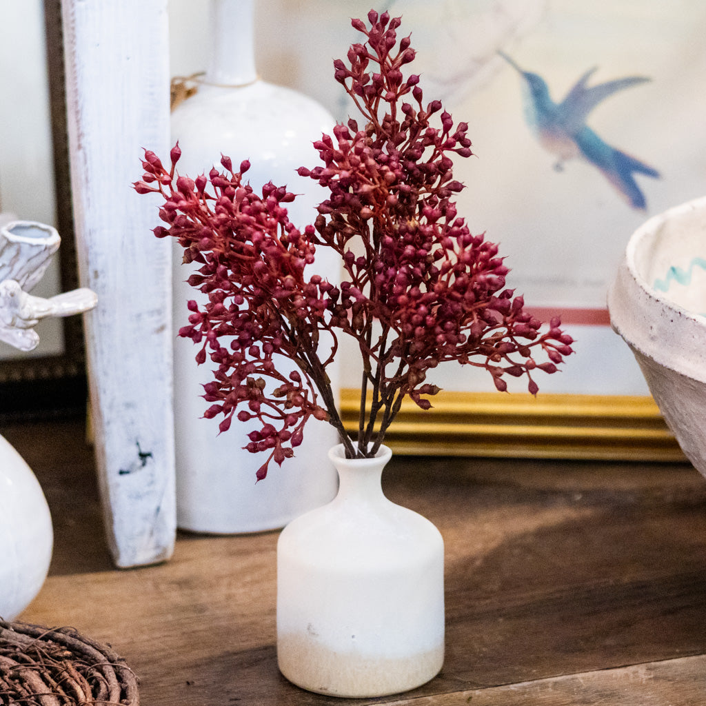 Rust Seed Bush Branches Designs