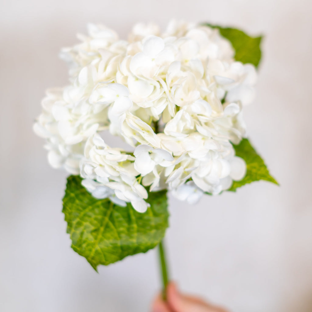 White Hydrangea Single Stem Real Touch Branches Designs