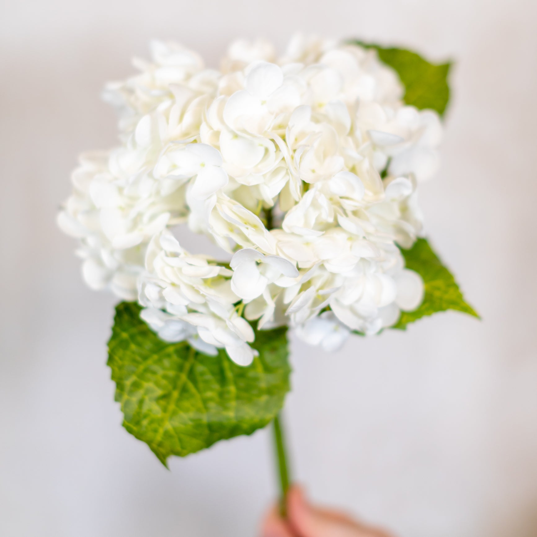 White Hydrangea Single Stem Real Touch Branches Designs