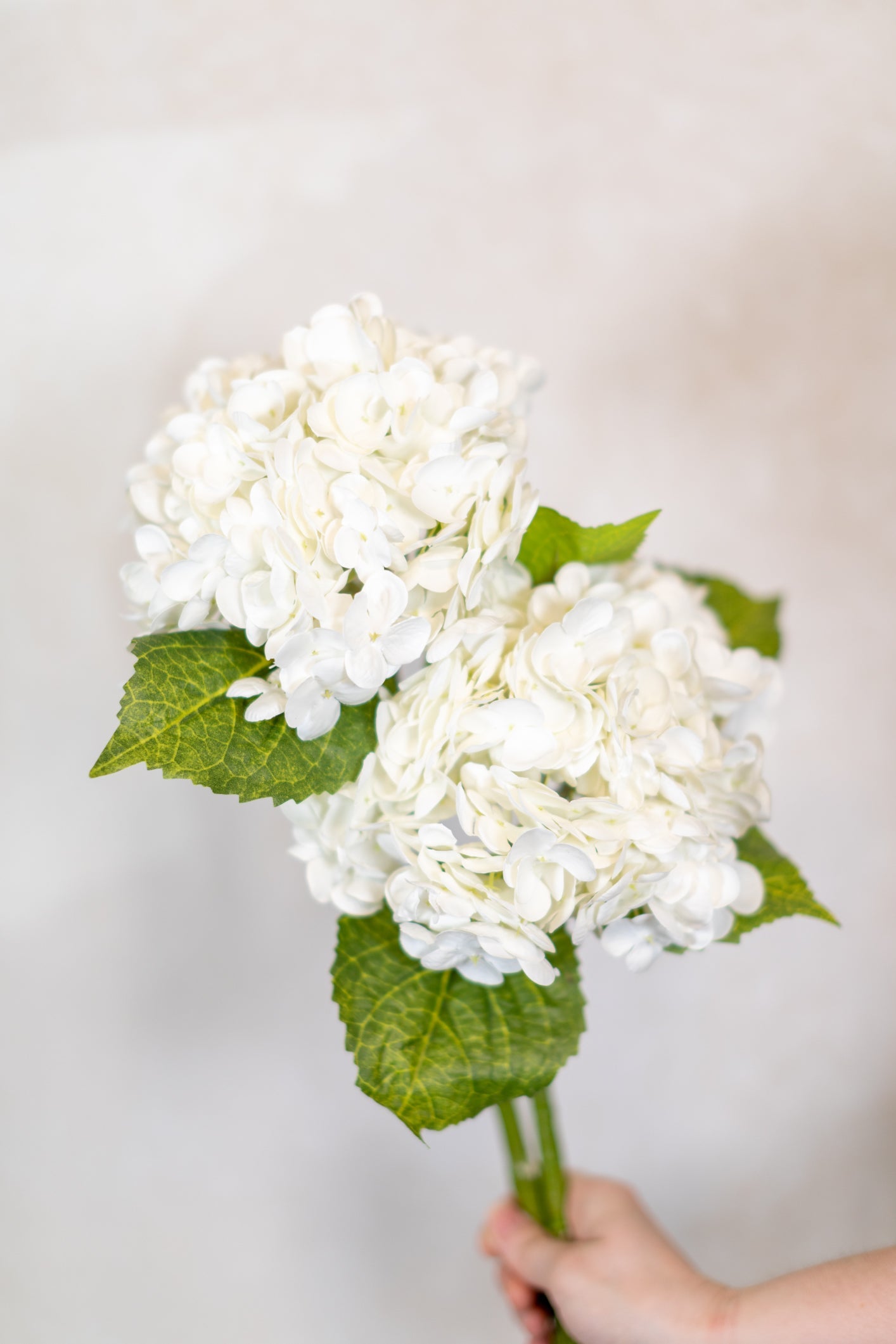 White Hydrangea Single Stem Real Touch Branches Designs