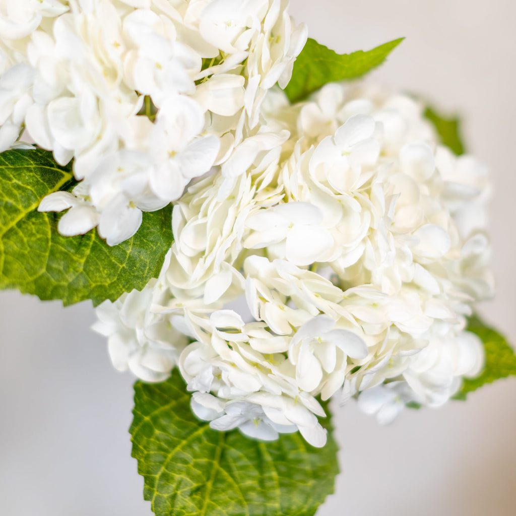 White Hydrangea Single Stem Real Touch Branches Designs