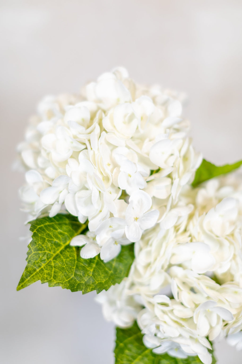 White Hydrangea Single Stem Real Touch Branches Designs