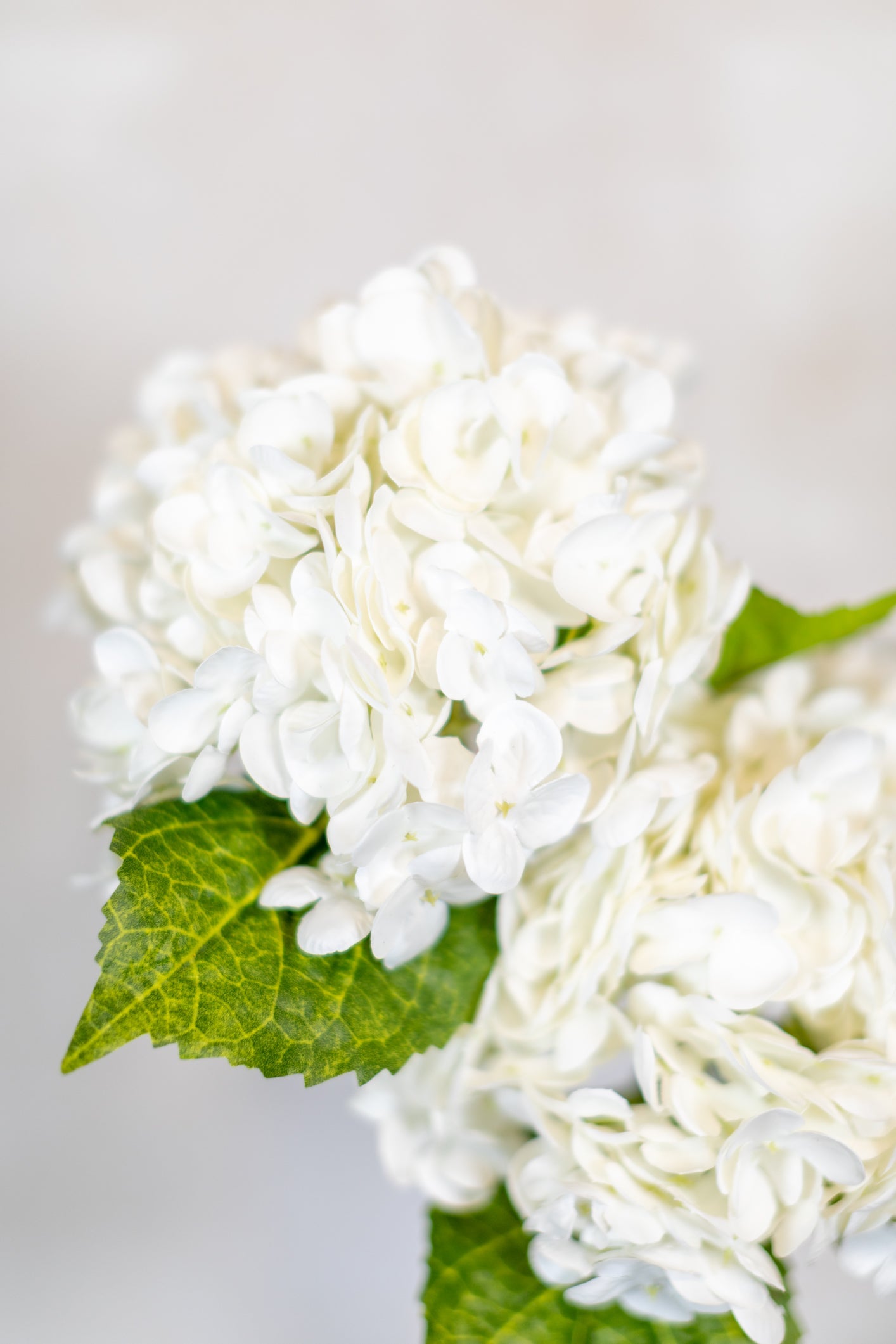 White Hydrangea Single Stem Real Touch Branches Designs