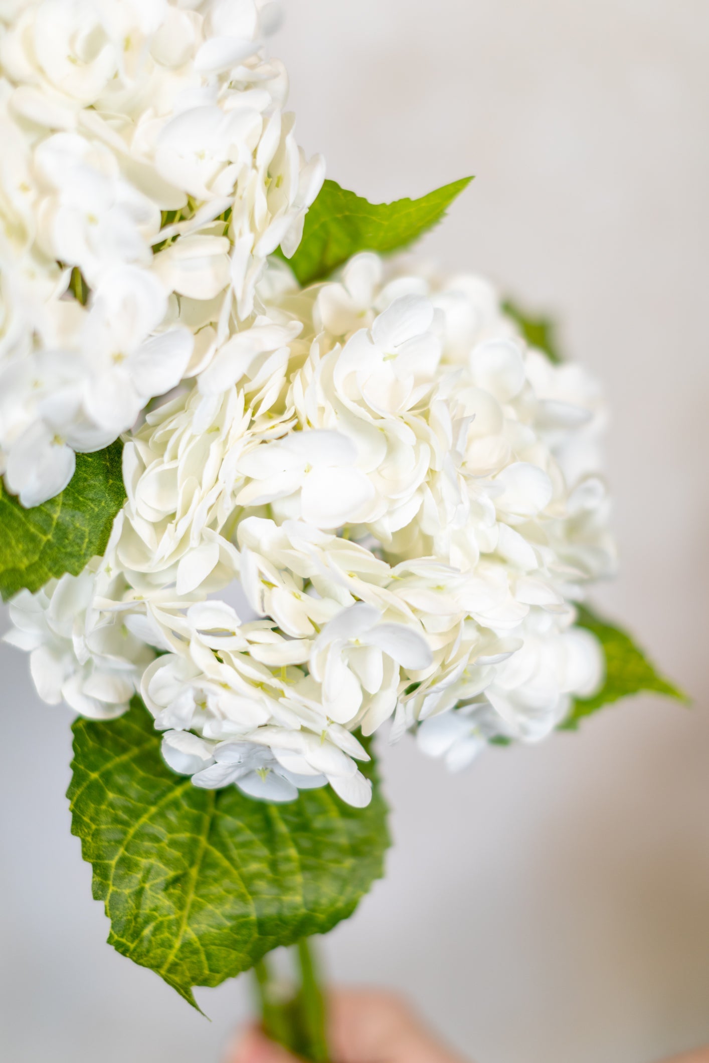 White Hydrangea Single Stem Real Touch Branches Designs
