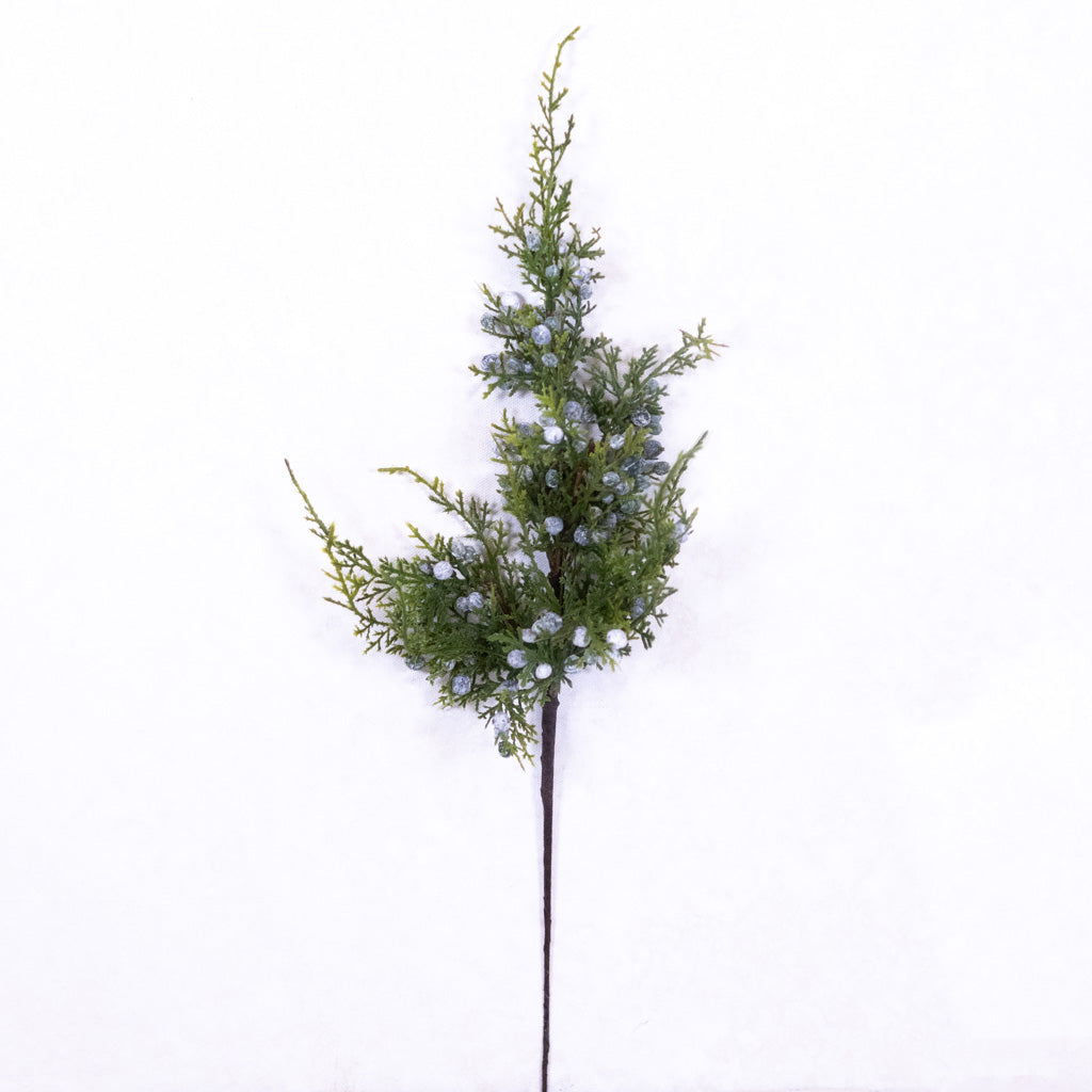 Juniper Spray with Berries Stem Branches Designs